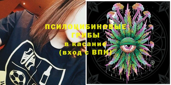 ешки Алзамай