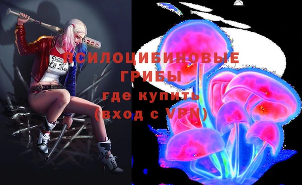 гидропоника Алексеевка