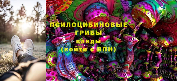 скорость Алексин