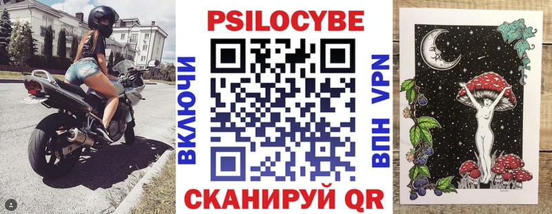 Псилоцибиновые грибы Psilocybe  Данков 